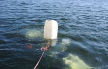 Hańcza - wrzesień 2010