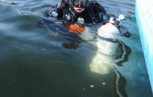 Hańcza - wrzesień 2010