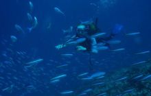 Malediwy - kwiecień 2005