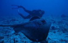 Malediwy - kwiecień 2005