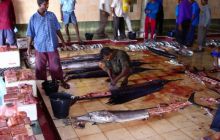 Malediwy - kwiecień 2005