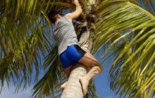 Malediwy - kwiecień 2005