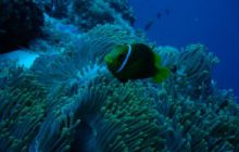 Malediwy - kwiecień 2005