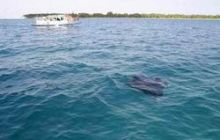 Malediwy - kwiecień 2005