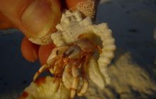 Malediwy - kwiecień 2005