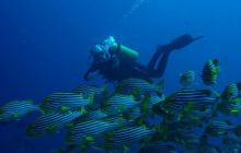 Malediwy - kwiecień 2005