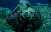 Malediwy - kwiecień 2005