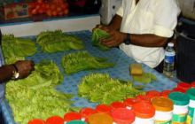 Malediwy - kwiecień 2005