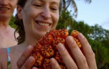 Malediwy - kwiecień 2005