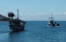 Alandy - czerwiec 2005