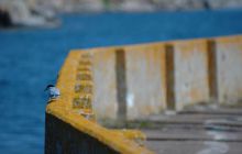 Alandy - czerwiec 2005