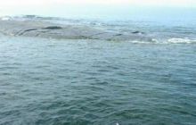 Alandy - czerwiec 2005