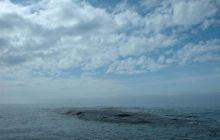 Alandy - czerwiec 2005