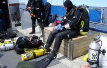 Alandy - czerwiec 2005