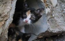 Hvar - czerwiec 2005