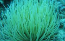 Hvar - czerwiec 2005