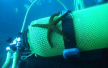 Hvar - czerwiec 2005