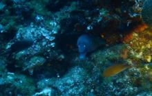 Hvar - czerwiec 2005