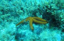 Hvar - czerwiec 2005