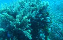 Hvar - czerwiec 2005