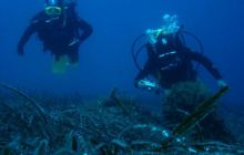 Hvar - czerwiec 2005