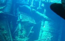 Safari północ morza czerwonego - wrzesien 2005