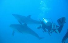 Safari północ morza czerwonego - wrzesien 2005