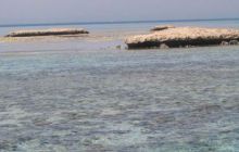 Safari północ morza czerwonego - wrzesien 2005