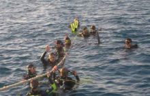 Safari północ morza czerwonego - wrzesien 2005