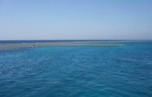 Safari północ morza czerwonego - wrzesien 2005