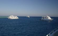 Safari północ morza czerwonego - wrzesien 2005