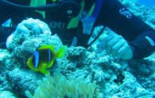 Safari północ morza czerwonego - wrzesien 2005