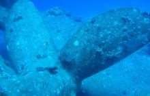 Safari północ morza czerwonego - wrzesien 2005