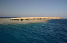 Safari północ morza czerwonego - wrzesien 2005