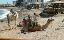 Sharm El Sheikh - wrzesień 2005