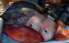 Sharm El Sheikh - wrzesień 2005