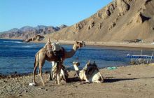 Sharm El Sheikh - wrzesień 2005