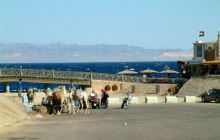 Sharm El Sheikh - wrzesień 2005