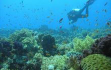 Sharm El Sheikh - wrzesień 2005