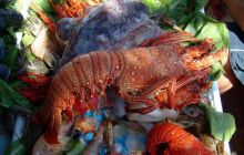 Sharm El Sheikh - wrzesień 2005