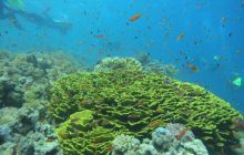 Sharm El Sheikh - wrzesień 2005