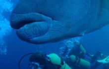 Malediwy - grudzień 2005