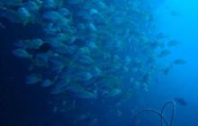 Malediwy - grudzień 2005