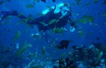 Malediwy - grudzień 2005