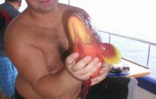 Malediwy - grudzień 2005