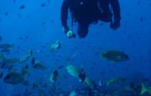 Malediwy - grudzień 2005