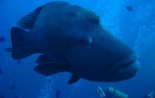 Malediwy - grudzień 2005