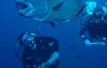 Malediwy - grudzień 2005