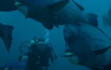 Borneo - lipiec 2006