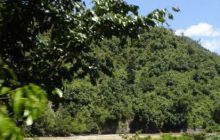 Borneo - lipiec 2006